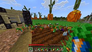 Screenshot of the Minecraft Bedrock Marketplace product More Carrots created by Piki Studios.
