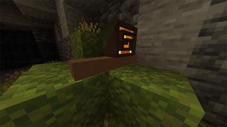 Screenshot of the Minecraft Bedrock Marketplace product Nature Life created by Piki Studios.