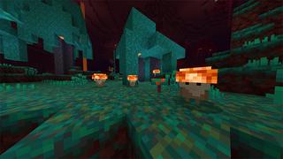 Screenshot of the Minecraft Bedrock Marketplace product Nature Life created by Piki Studios.