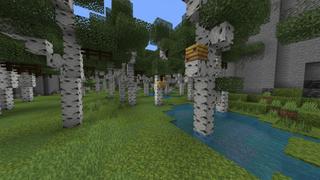 Screenshot of the Minecraft Bedrock Marketplace product The Maze created by Piki Studios.