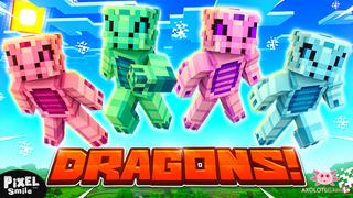 Thumbnail of the Minecraft Bedrock Marketplace product DRAGONS! created by Pixel Smile Studios.