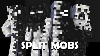Thumbnail of the Minecraft Bedrock Marketplace product Split Mobs created by Pixelationz Studios.