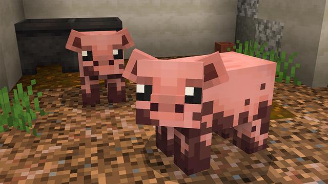 Screenshot of the Minecraft Bedrock Marketplace product Cute Farm created by Pixelbiester.