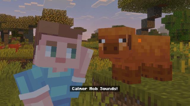 Screenshot of the Minecraft Bedrock Marketplace product Zephyr – Relaxing Sounds created by Pixelbiester.