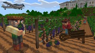 Screenshot of the Minecraft Bedrock Marketplace product Farm Life created by PixelHeads.