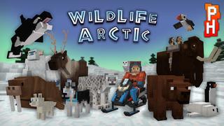 Thumbnail of the Minecraft Bedrock Marketplace product Wildlife: Arctic created by PixelHeads.