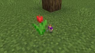 Screenshot of the Minecraft Bedrock Marketplace product Ant-Sized Survival created by Pixell Studio.