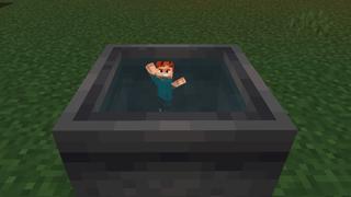 Screenshot of the Minecraft Bedrock Marketplace product Ant-Sized Survival created by Pixell Studio.