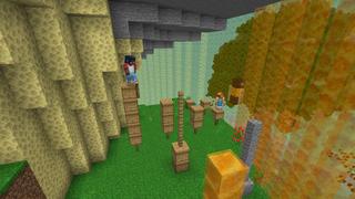 Screenshot of the Minecraft Bedrock Marketplace product Bee Tower Parkour created by Pixell Studio.