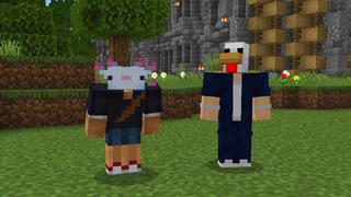 Screenshot of the Minecraft Bedrock Marketplace product Heads Expansion created by Pixell Studio.