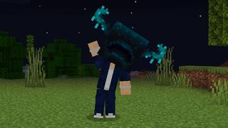 Screenshot of the Minecraft Bedrock Marketplace product Heads Expansion created by Pixell Studio.