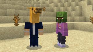 Screenshot of the Minecraft Bedrock Marketplace product Heads Expansion created by Pixell Studio.