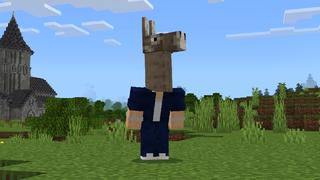 Screenshot of the Minecraft Bedrock Marketplace product Heads Expansion created by Pixell Studio.