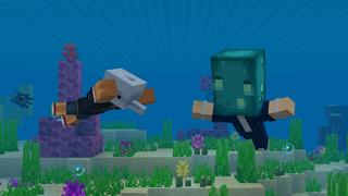 Screenshot of the Minecraft Bedrock Marketplace product Heads Expansion created by Pixell Studio.