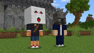 Screenshot of the Minecraft Bedrock Marketplace product Heads Expansion created by Pixell Studio.