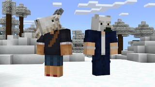 Screenshot of the Minecraft Bedrock Marketplace product Heads Expansion created by Pixell Studio.