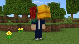 Screenshot of the Minecraft Bedrock Marketplace product Heads Expansion created by Pixell Studio.