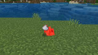 Screenshot of the Minecraft Bedrock Marketplace product Mobs Drop Random Loot created by Pixell Studio.