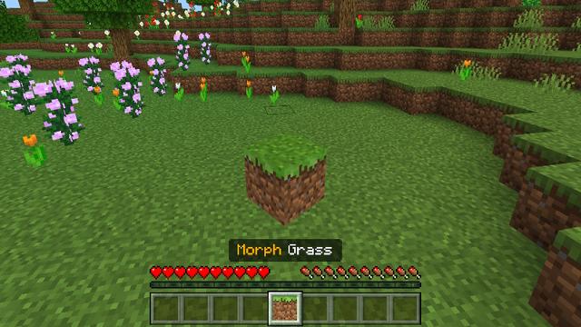 Screenshot of the Minecraft Bedrock Marketplace product Morph Into Blocks created by Pixell Studio.