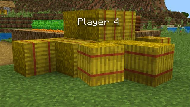 Screenshot of the Minecraft Bedrock Marketplace product Morph Into Blocks created by Pixell Studio.