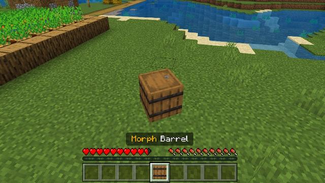 Screenshot of the Minecraft Bedrock Marketplace product Morph Into Blocks created by Pixell Studio.