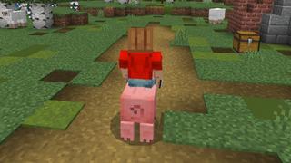 Screenshot of the Minecraft Bedrock Marketplace product Ride Any Mob created by Pixell Studio.