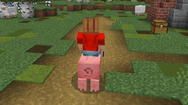 Screenshot of the Minecraft Bedrock Marketplace product Ride Any Mob created by Pixell Studio.