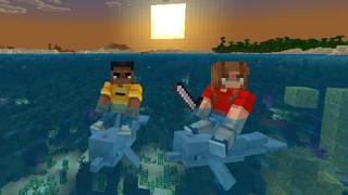 Screenshot of the Minecraft Bedrock Marketplace product Ride Any Mob created by Pixell Studio.