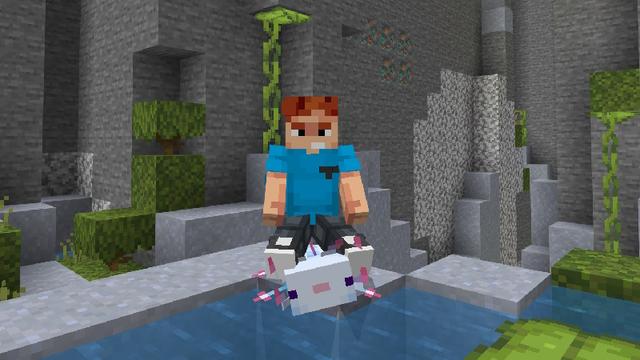 Screenshot of the Minecraft Bedrock Marketplace product Ride Any Mob created by Pixell Studio.