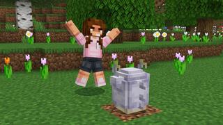 Screenshot of the Minecraft Bedrock Marketplace product Train Your Dragon Add-on created by Pixell Studio.