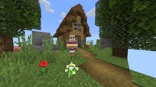 Screenshot of the Minecraft Bedrock Marketplace product One Block+ created by PixelOneUp.