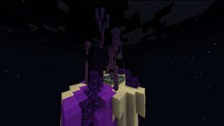 Screenshot of the Minecraft Bedrock Marketplace product One Block+ created by PixelOneUp.