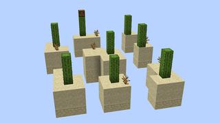 Screenshot of the Minecraft Bedrock Marketplace product Classic Skyblock created by Pixelusion.