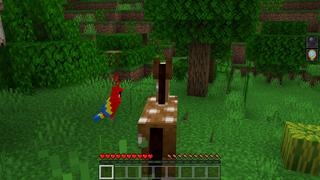 Screenshot of the Minecraft Bedrock Marketplace product Disguise Craft created by Pixelusion.