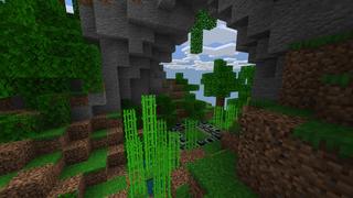 Screenshot of the Minecraft Bedrock Marketplace product One Block Skyblock created by Pixelusion.