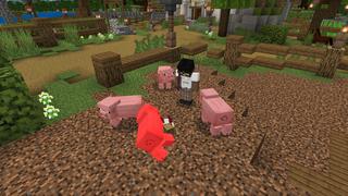 Screenshot of the Minecraft Bedrock Marketplace product Random Loot created by Pixelusion.