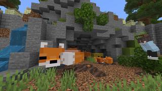 Screenshot of the Minecraft Bedrock Marketplace product Random Sized Mob Zoo created by Pixelusion.