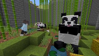 Screenshot of the Minecraft Bedrock Marketplace product Random Sized Mob Zoo created by Pixelusion.