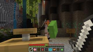 Screenshot of the Minecraft Bedrock Marketplace product Shields Add-On created by Pixelusion.