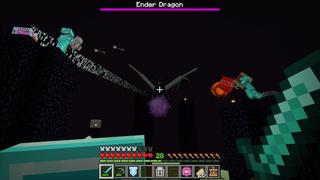 Screenshot of the Minecraft Bedrock Marketplace product Shields Add-On created by Pixelusion.