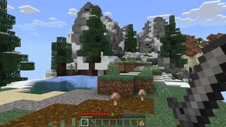 Screenshot of the Minecraft Bedrock Marketplace product The Ring created by Pixelusion.