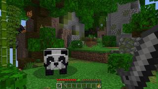 Screenshot of the Minecraft Bedrock Marketplace product The Ring created by Pixelusion.