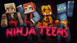 Thumbnail of the Minecraft Bedrock Marketplace product Ninja Teens created by Podcrash.