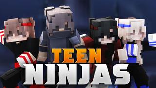 Thumbnail of the Minecraft Bedrock Marketplace product Teen Ninjas created by Podcrash.