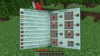 Screenshot of the Minecraft Bedrock Marketplace product Info Items Add-On created by Polymaps.