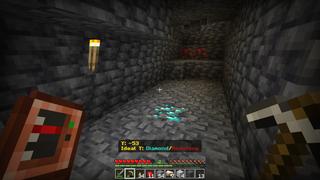 Screenshot of the Minecraft Bedrock Marketplace product Info Items Add-On created by Polymaps.