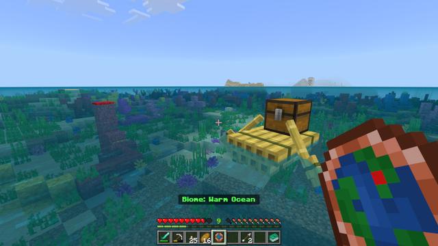 Screenshot of the Minecraft Bedrock Marketplace product Info Items Add-On created by Polymaps.