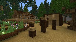 Screenshot of the Minecraft Bedrock Marketplace product Summer Camp Roleplay created by Project Moonboot.