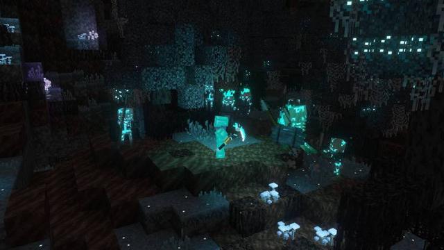 Screenshot of the Minecraft Bedrock Marketplace product The Hollow Dimension created by Radium Studio.