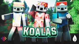 Thumbnail of the Minecraft Bedrock Marketplace product Koalas created by Rainbow Theory.
